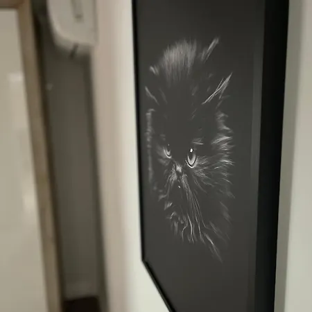 Milennium Apartmán Bukurešť