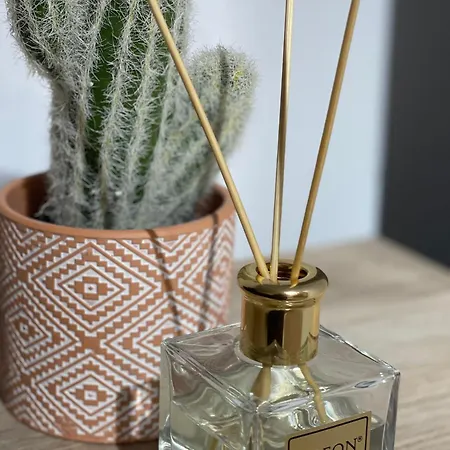 Apartamento Milennium Bucareste